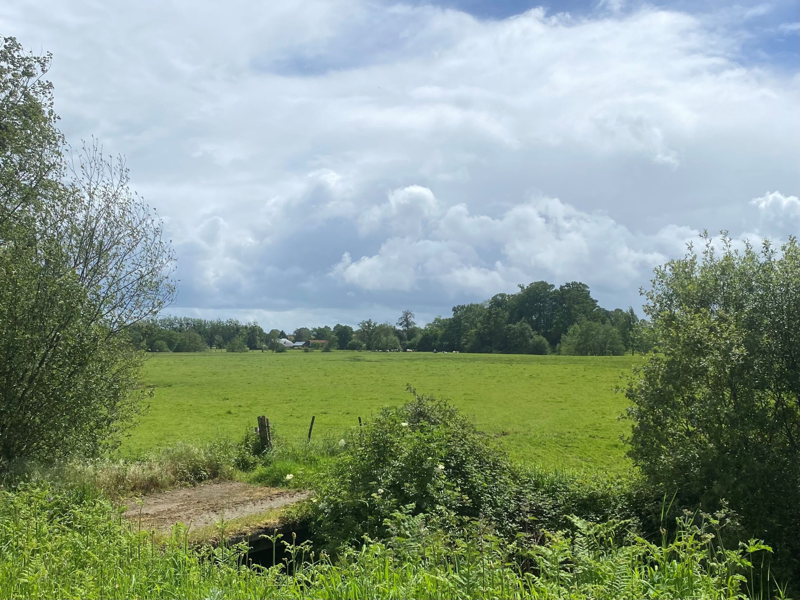 Couesnon_1