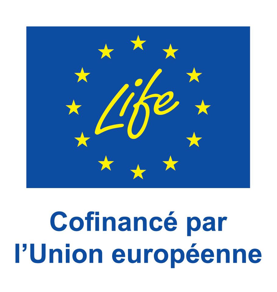 fr-v-confinance-ue